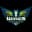 Dallas Wings
